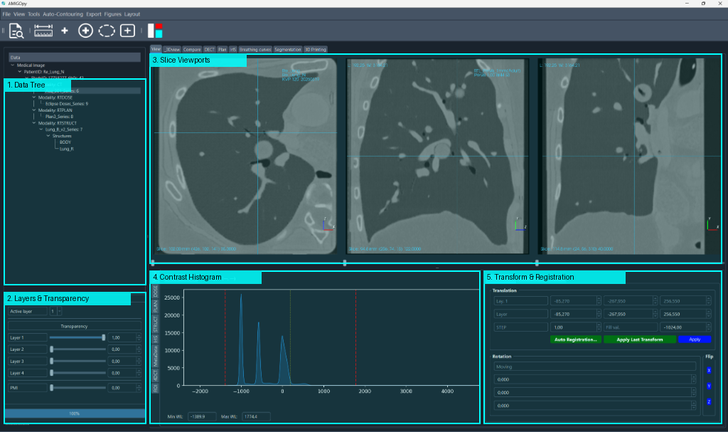 Main Interface